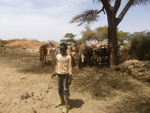 Pastoralists in Borana: 21st century pastoralism in southern Ethiopia