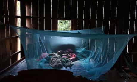 Malaria bednet, Cambodia