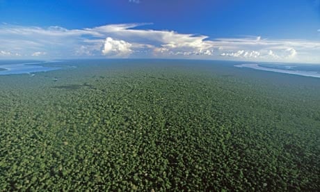 An aerial view of the Amazon rainforest near Nova Olinda, Brazil