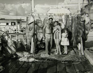 Ocean of Life : Recreational fish landings into Key West