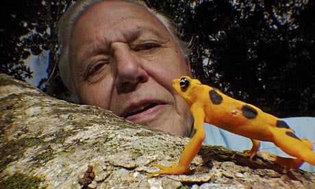 David Attenborough’s 60-year career celebrated in BBC series