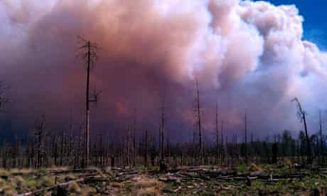 New Mexico wildfire fire