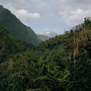 Rwenzori mountains:  on the border between Uganda and the Democratic Republic of the Congo