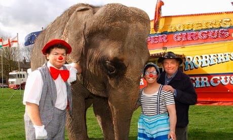 Animal cruelty and circuses don't always go hand-in-hand | Animal welfare |  The Guardian