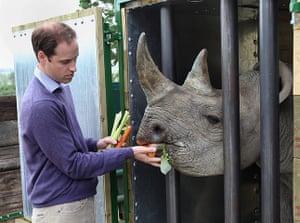 Picture desk live: Prince William feeds Rhino
