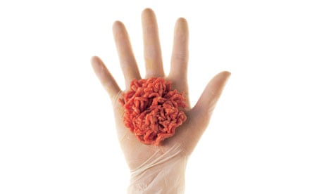 Fake meat: hand holding meat