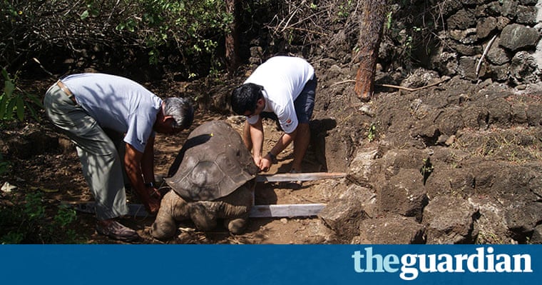 auto format dev c++ his giant tortoise dies George, last Lonesome kind, of the auto format dev c++ his giant tortoise dies George, last Lonesome kind, of the