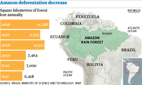 Amazon Deforestation At Record Low Data Shows Amazon Rainforest The Guardian Amazon Deforestation At Record Low Data Shows Amazon Rainforest The Guardian