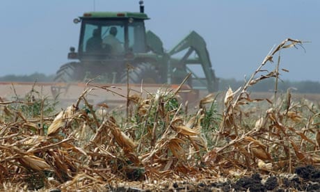 A tractor ploughs over a harvested cornfield in Texas