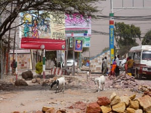 Somaliland : breeding and raising livestock industry