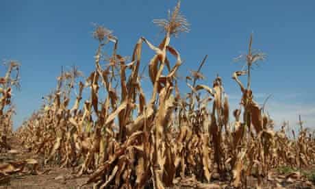 Severe Midwest Drought Continues