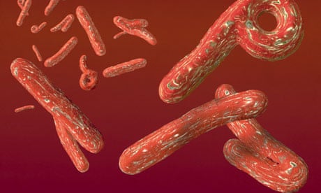 Exploring Uganda's Recent Ebola Case