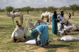 Livestock market: Niger Nomads Herdsmen, Tuareg and Peul