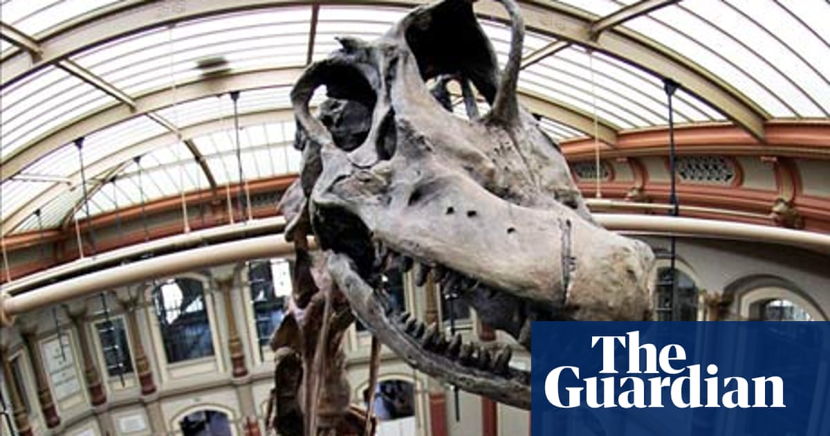 Just How Big Were Dinosaurs Dr Dave Hone Science The