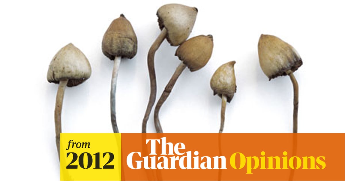 How to Grind Magic Mushrooms: Expert Tips Unveiled