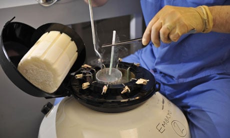 IVF embryos frozen using new vitrification technique