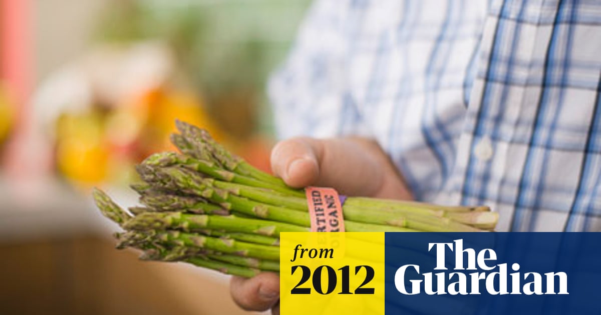 Gingham Play: Asparagus Gingham Play: Asparagus