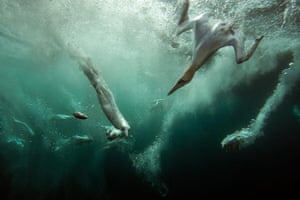 BWPA: 2012 British Wildlife Photography Awards