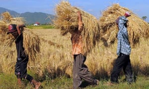Asia-environment-agriculture-