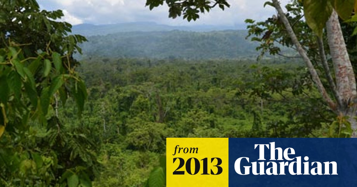Amazon rainforest is home to 16,000 tree species, estimate suggests