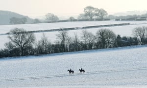 uk weather: Race horses 