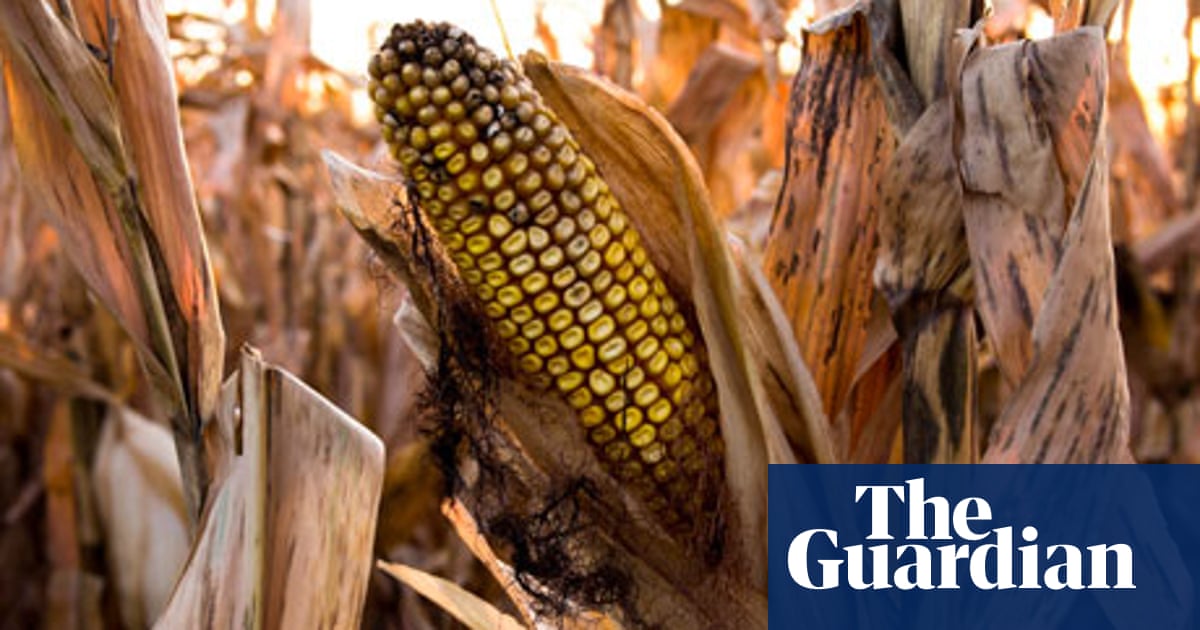 Is The Food Industry Running On Empty When It Comes To Water Nexus Live Debates The Guardian