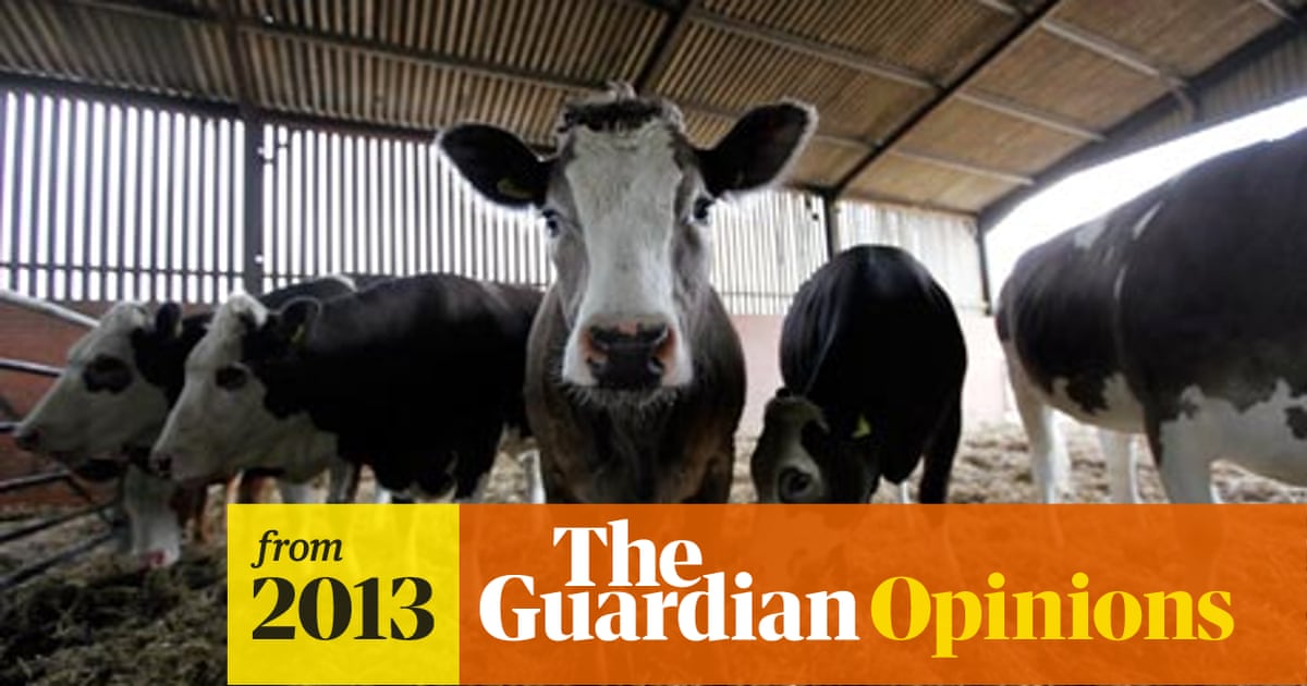 Eating Quinoa May Harm Bolivian Farmers But Eating Meat Harms Us All Meat Industry The Guardian