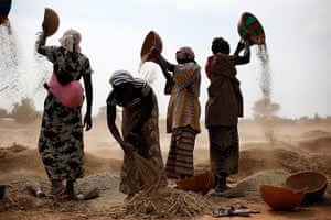 20 Photos: Malian women sift wheat in a field near Segou, central Mali
