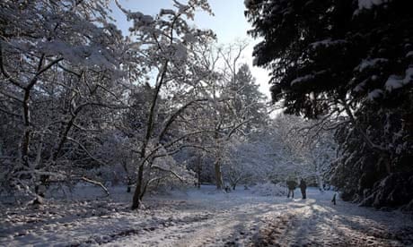 Snow at Westonbirt Arboretum
