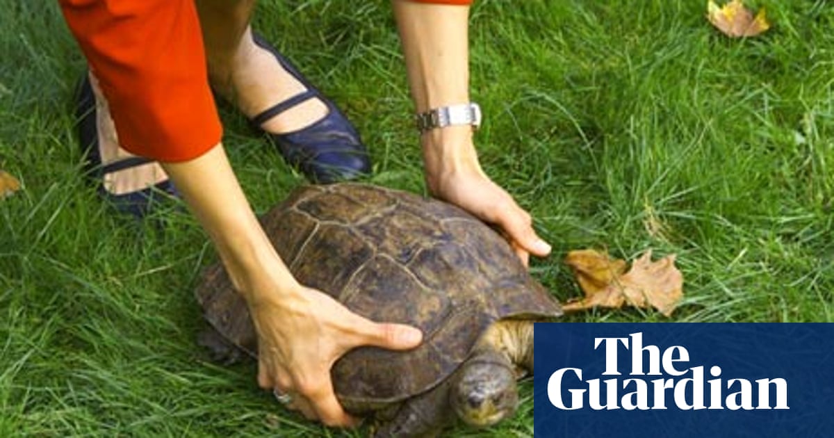 How To Become A Company's Charity Of The Year | Fundraising | The Guardian