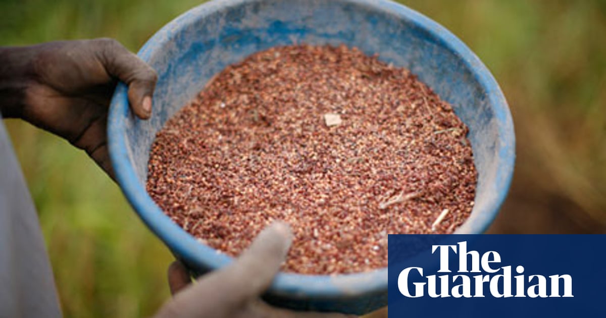 Business should be part of solution in enough food for everyone