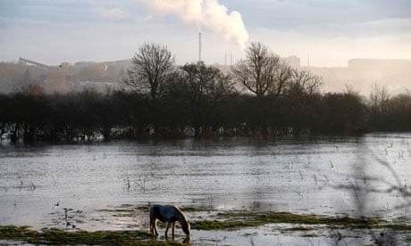 A horse grazes surrounded by floodwaters from the River Soar in Barrow Upon Soar