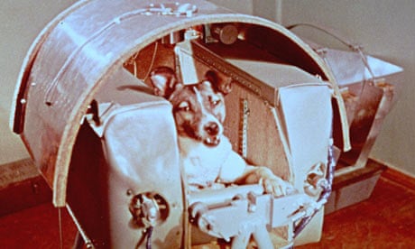 Laika the Soviet space dog