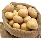Potatoes in sack