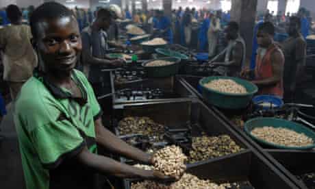 cashew nut factory mozambique 