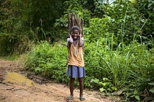 CIFOR: Protecting the Congo Basin