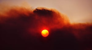 Bushfires: Heatwave causes wildfires
