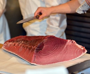 tuna: A block of meat from a 222-kg (488-pound