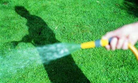 Man watering grass