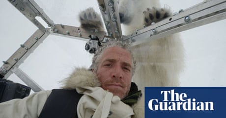 Tv Review The Polar Bear Family And Me Baby Makers The Fertility Clinic Television Radio The Guardian