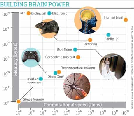 Human Brain Project Henry Markram Plans To Spend 1bn Building A Perfect Model Of The Human Brain Neuroscience The Guardian