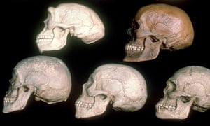 The Story Of The Human Body Evolution Health And Disease