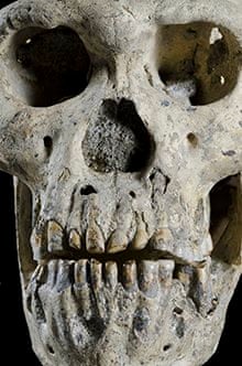 Homo erectus skull found in Georgia