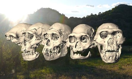 Five Homo erectus skulls found in Georgia