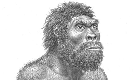 Reconstruction of Homo erectus
