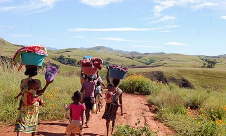 Women and  children walk to the river in the locust infested area in central Madagascar