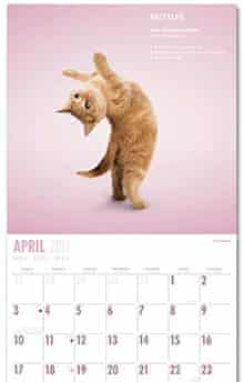 Yoga Kittens calendar: April