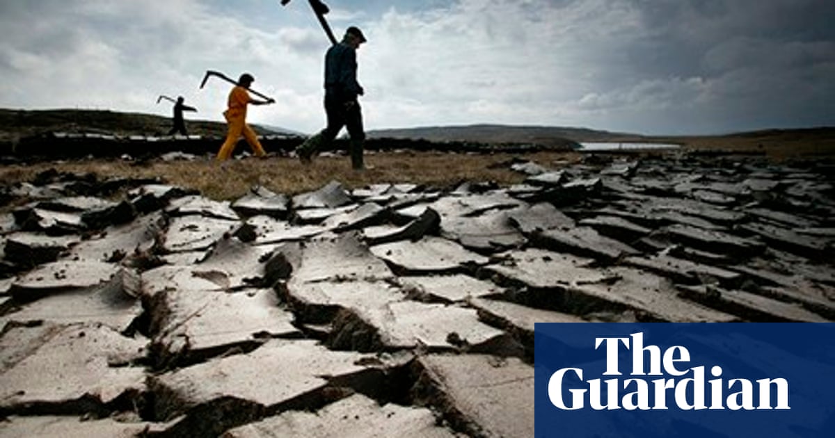 To Protect Peatlands We Must Ensure Alternatives Are Readily Available Guardian Sustainable Business The Guardian