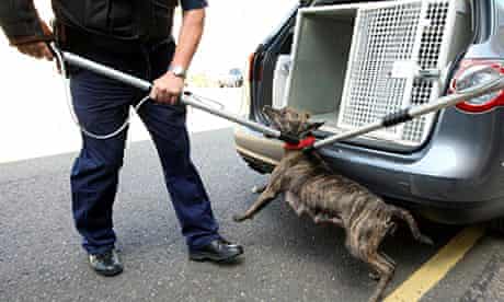 Owners of killer dogs face 14 years in jail | Dangerous dogs | The Guardian