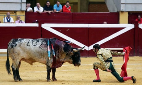 Animal rights groups condemn Spanish bullfighting bill | Bullfighting | The  Guardian
